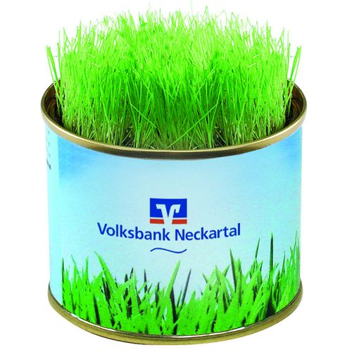 Grüne-Oase-Dose
