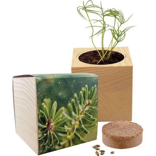 Großer Natur-Würfel Fichte