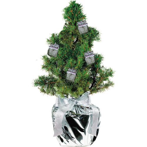 Geschenke-Bäumchen 20-30 cm