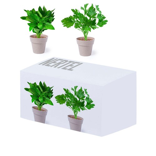 aromatische Kräuter