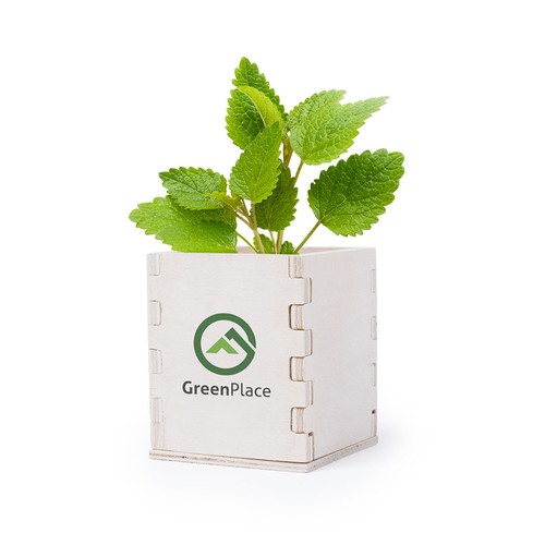 aromatische Kräuter