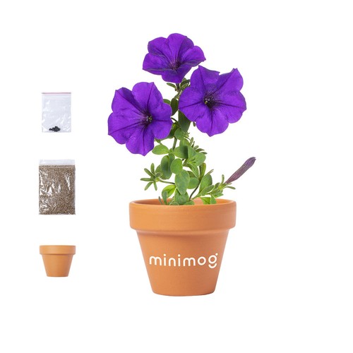 Blumentopf