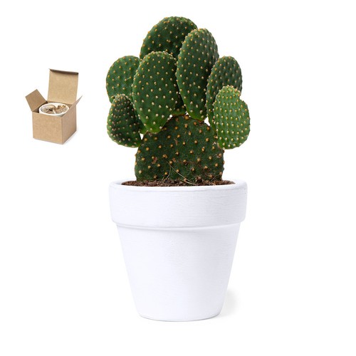 Blumentopf
