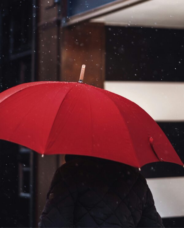 Regenschirm
