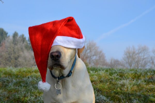 Weihnachtsmütze