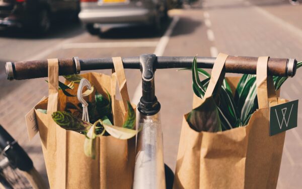Fahrradkühltasche
