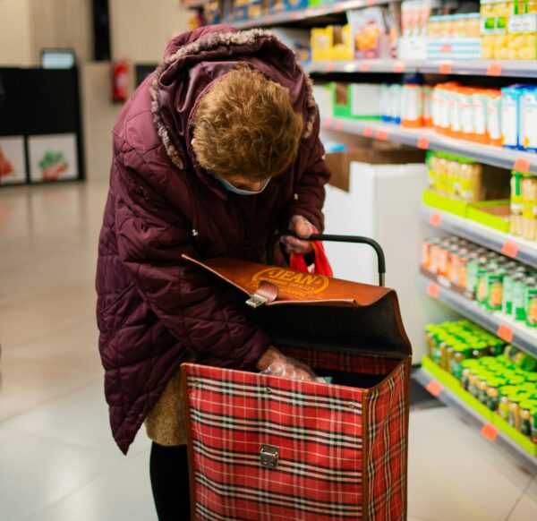 Einkaufswagenkühltasche
