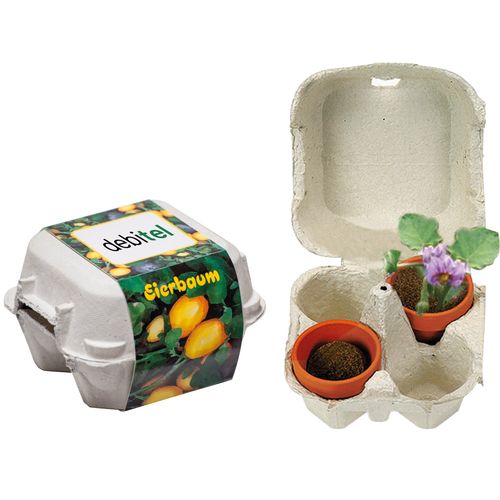 Eierbaum-Box