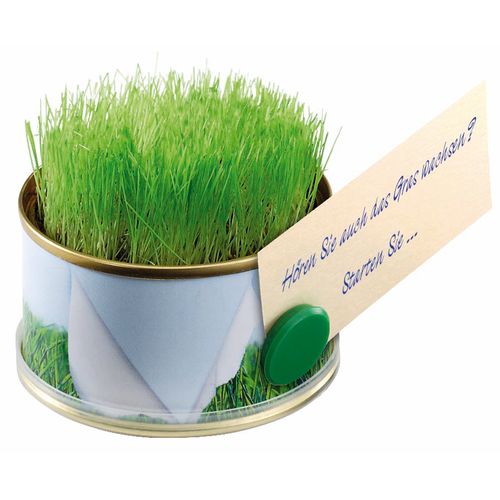 Minigarten Gras mit Magnet