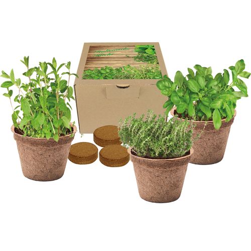 Kokos-Pflanz-Set Italienische Küche
