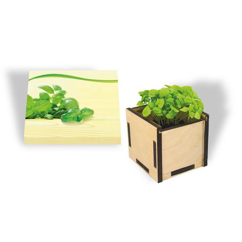 Pflanzsteckbox Green