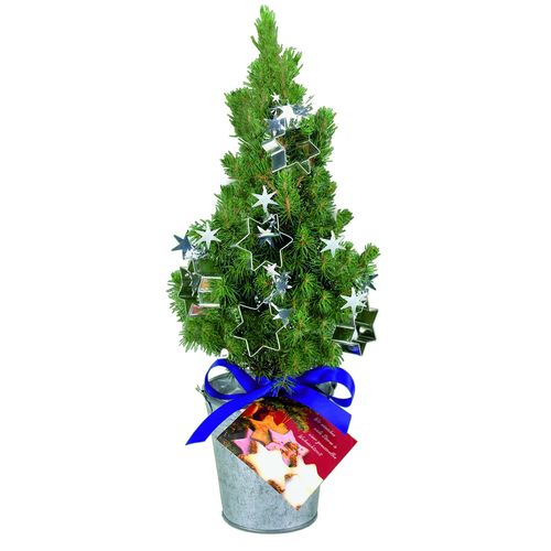 Backförmchen-Bäumchen 20-30 cm